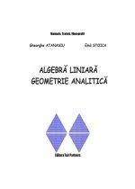 Algebra liniara. Geometrie analitica