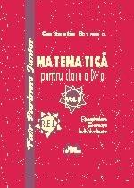 Matematica pentru clasa a IX-a - vol. I